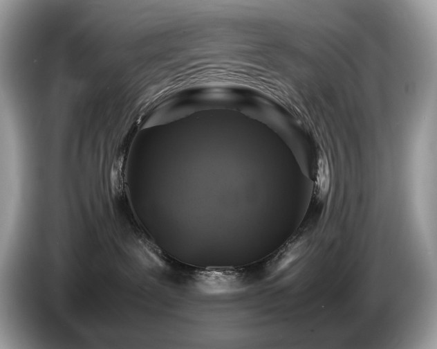 X0000087620239200704271404