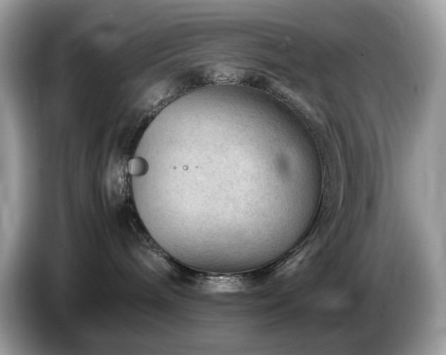 X0000087620240200704271404