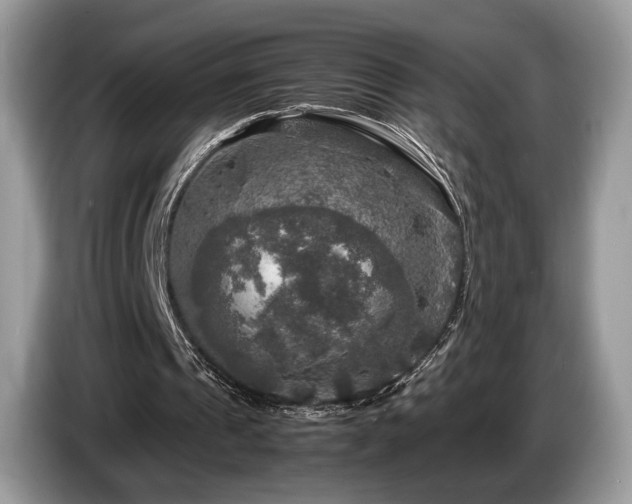 X0000087620241200704271403