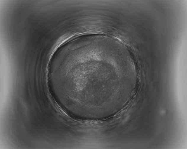 X0000087620242200704271403