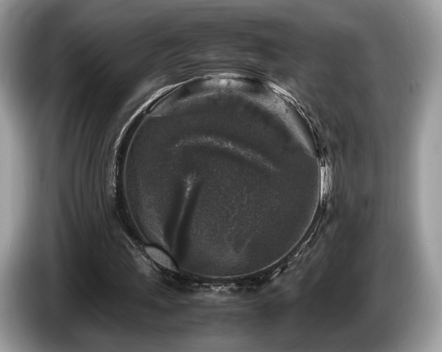 X0000087620243200704271403