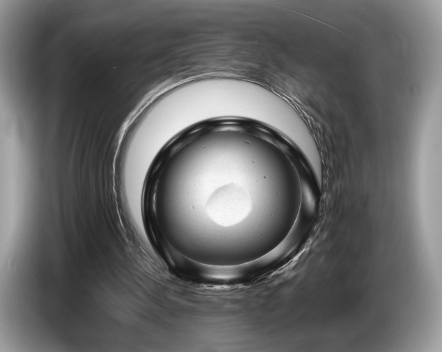 X0000087620244200704271403