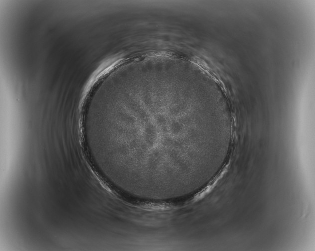 X0000087620245200704271403