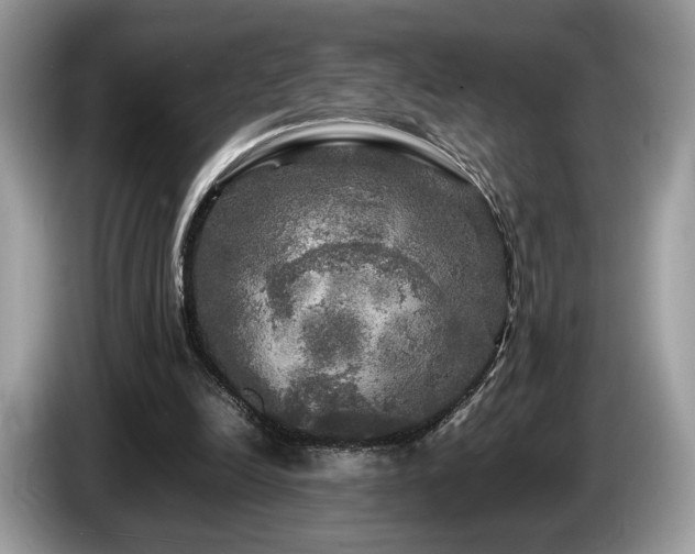 X0000087620246200704271403