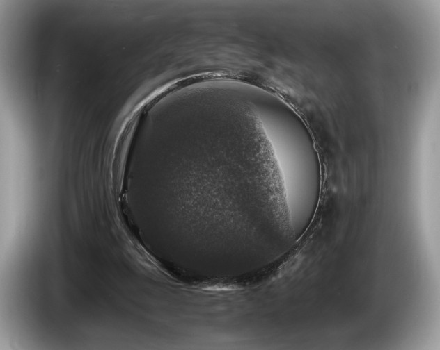 X0000087620247200704271403