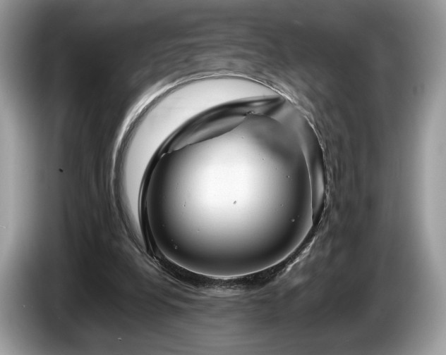 X0000087620248200704271403