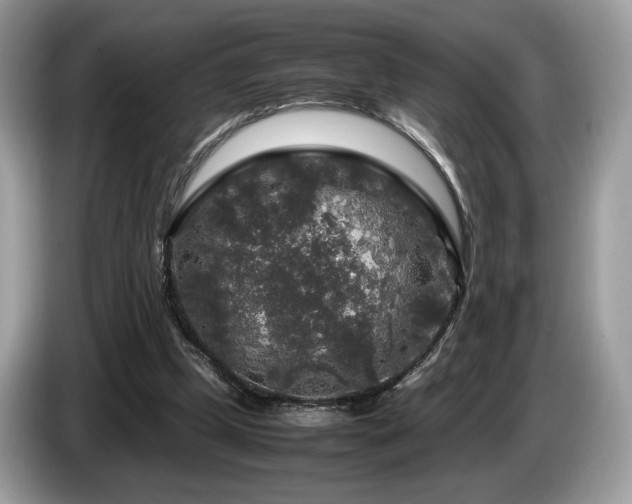 X0000087620249200704271403