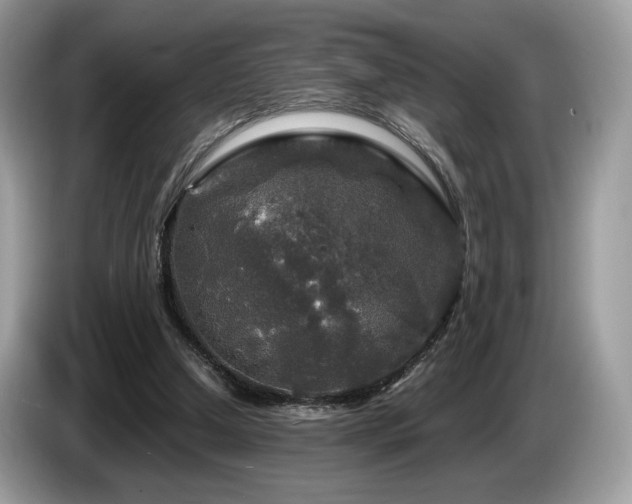 X0000087620250200704271404