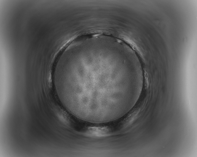 X0000087620251200704271404
