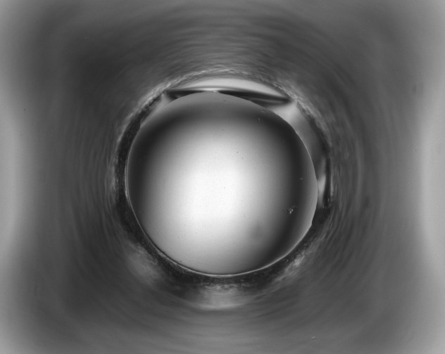 X0000087620252200704271404