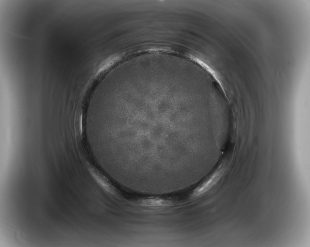 X0000087620253200704271404