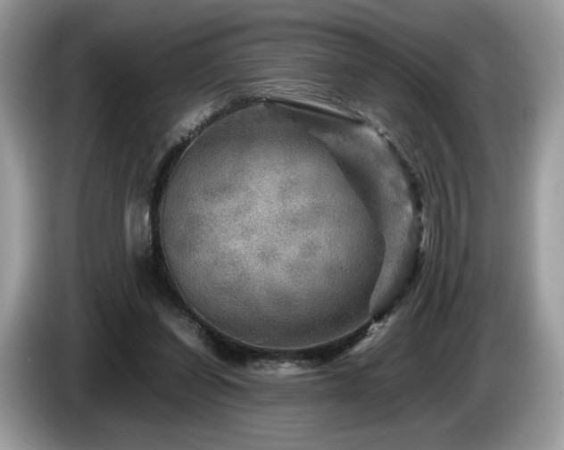 X0000087620254200704271404