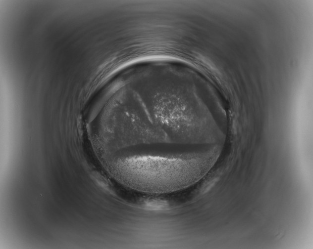 X0000087620258200704271404