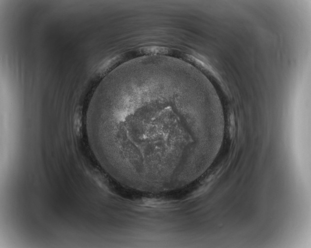 X0000087620259200704271404