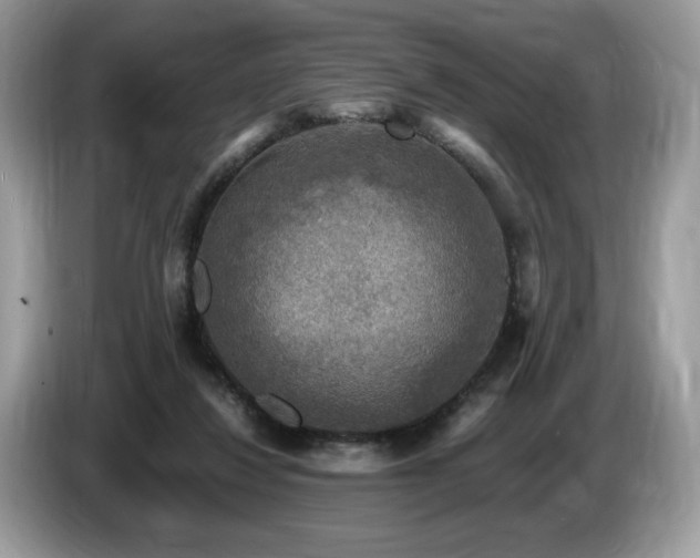 X0000087620260200704271404