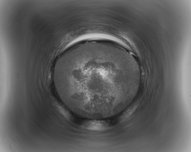 X0000087620261200704271404