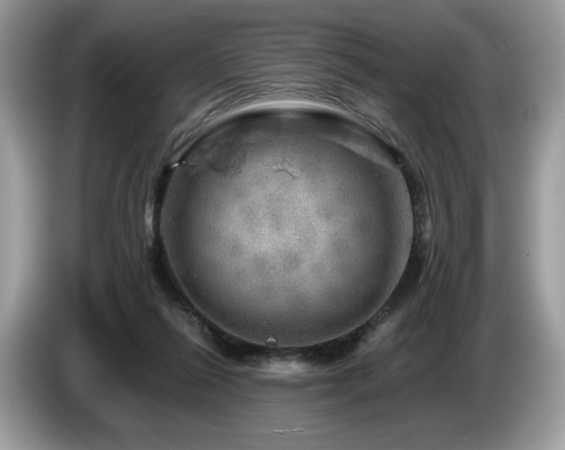 X0000087620262200704271404