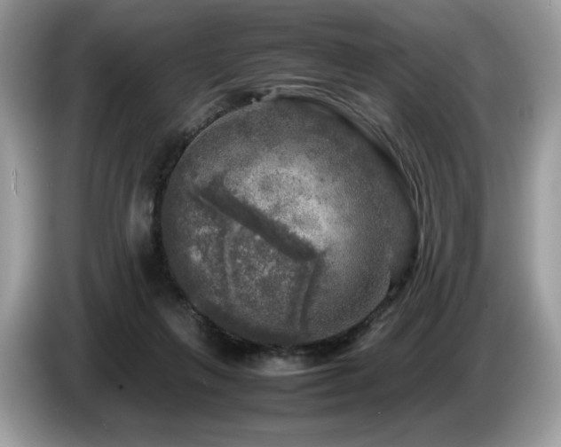 X0000087620263200704271404