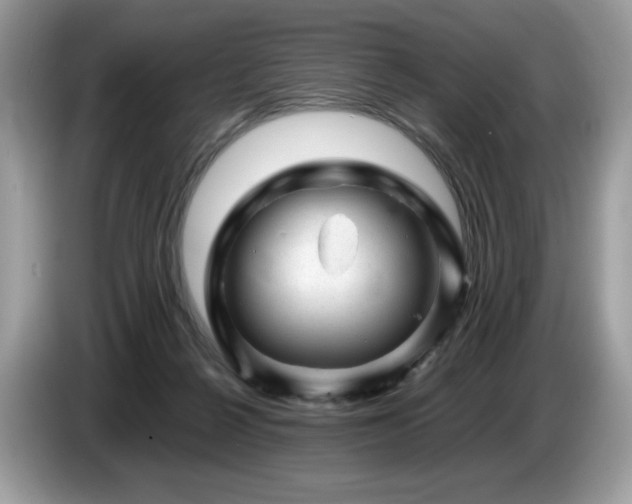X0000087620264200704271404