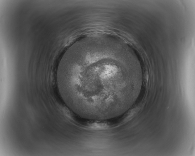 X0000087620270200704271404