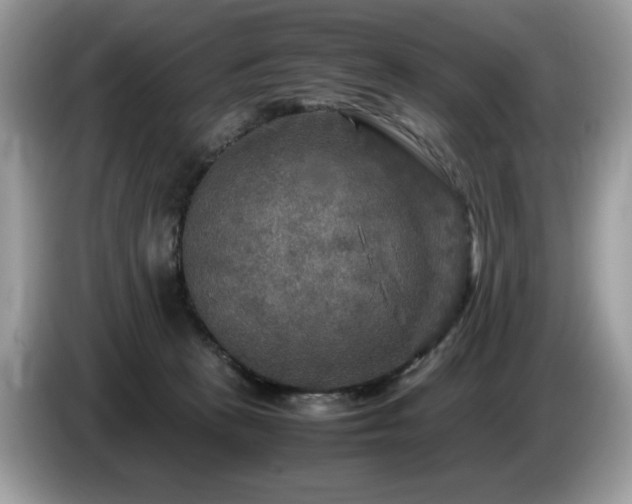 X0000087620273200704271404