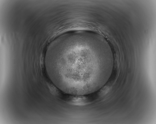 X0000087620274200704271404
