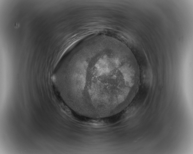 X0000087620275200704271404