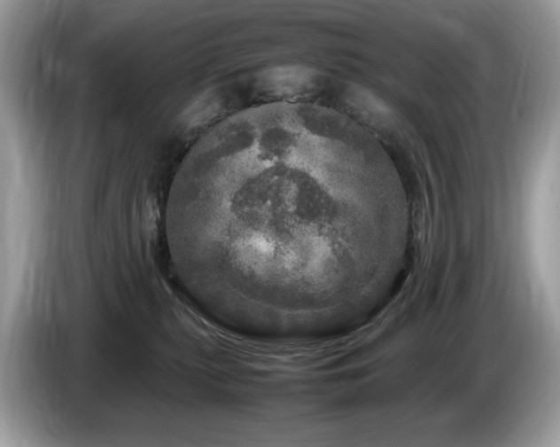 X0000087620279200704271404