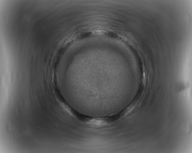 X0000087620280200704271404