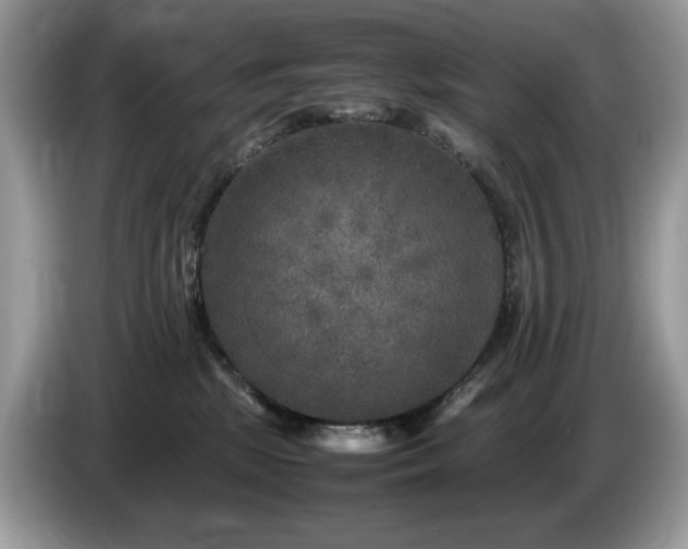 X0000087620281200704271404