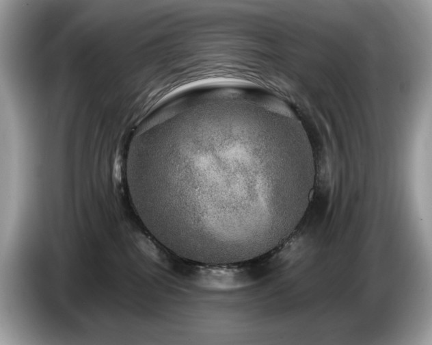 X0000087620282200704271404