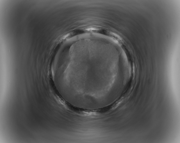 X0000087620284200704271404