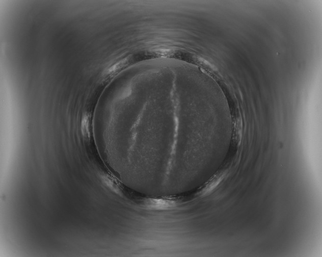 X0000087620286200704271404