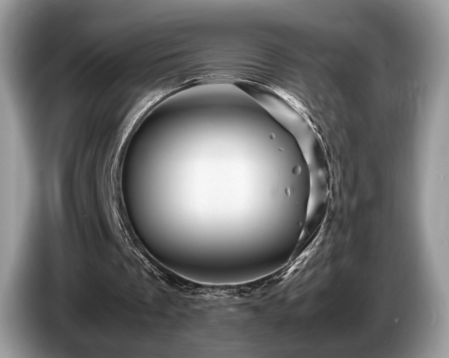 X0000087620289200704271403