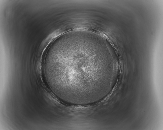 X0000087620290200704271403