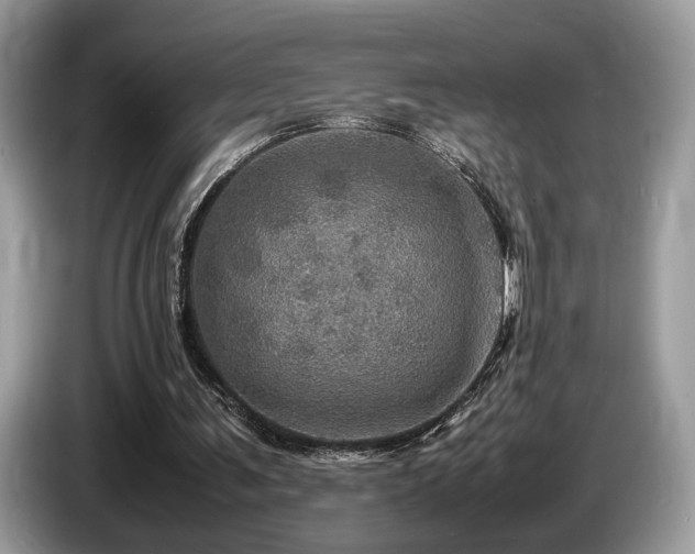 X0000087620291200704271403