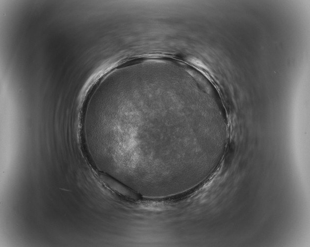 X0000087620293200704271403