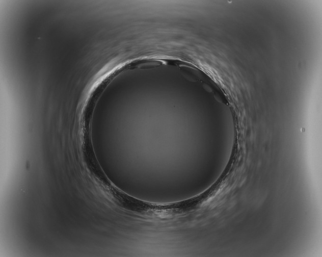 X0000087620295200704271403