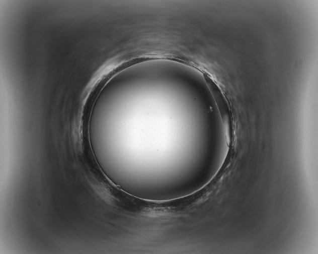 X0000087620296200704271403
