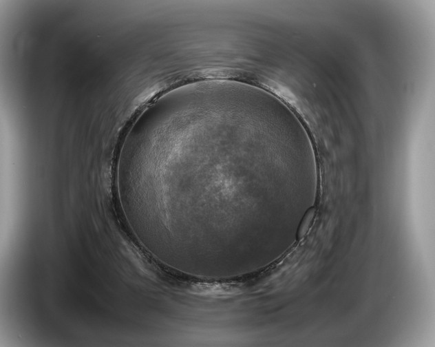 X0000087620297200704271403