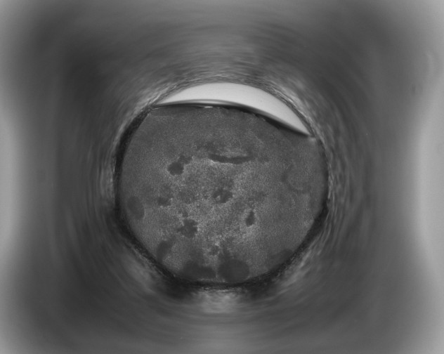 X0000087620299200704271403