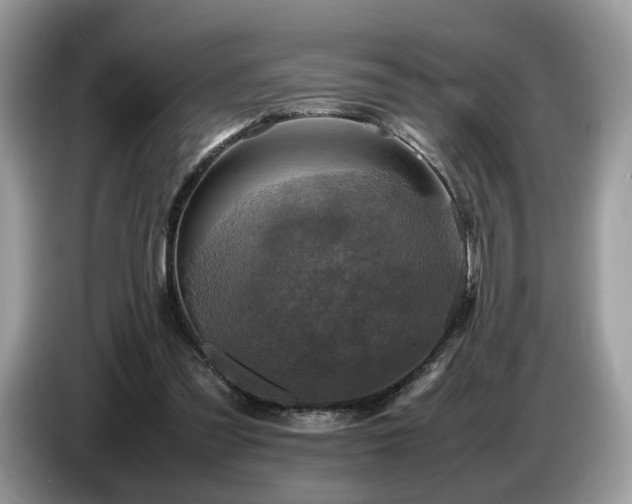 X0000087620301200704271403