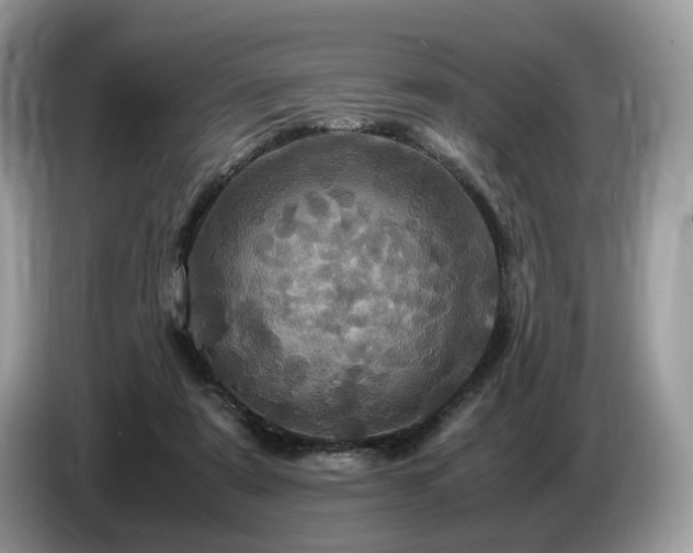 X0000087620307200704271403