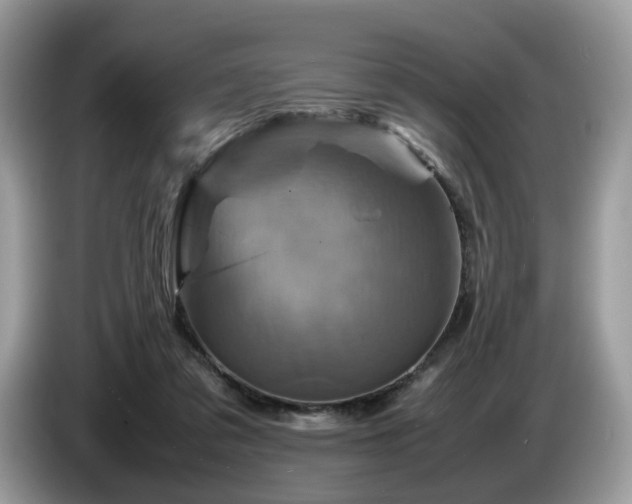 X0000087620309200704271403
