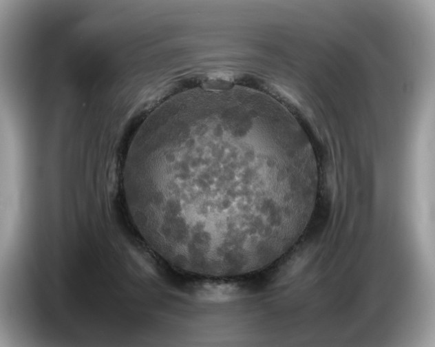 X0000087620311200704271403