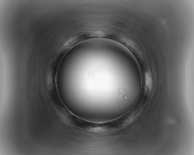 X0000087620312200704271403