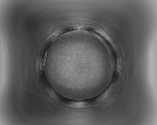 X0000087620313200704271403