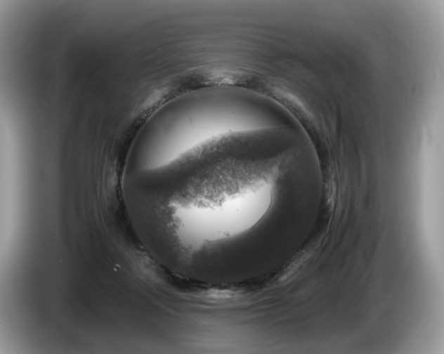 X0000087620314200704271403