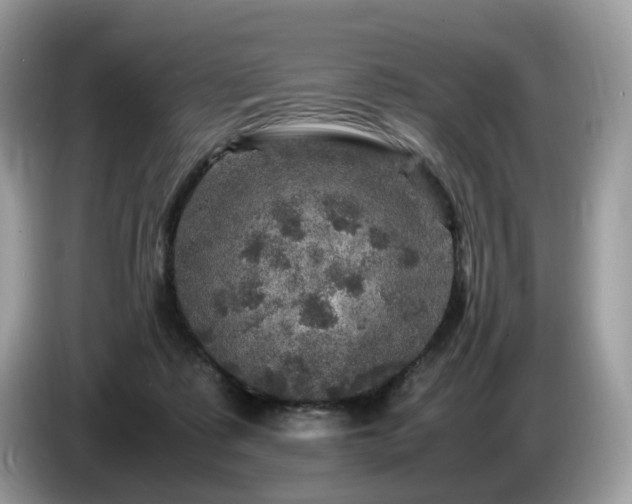 X0000087620315200704271403