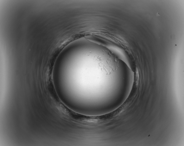 X0000087620318200704271403